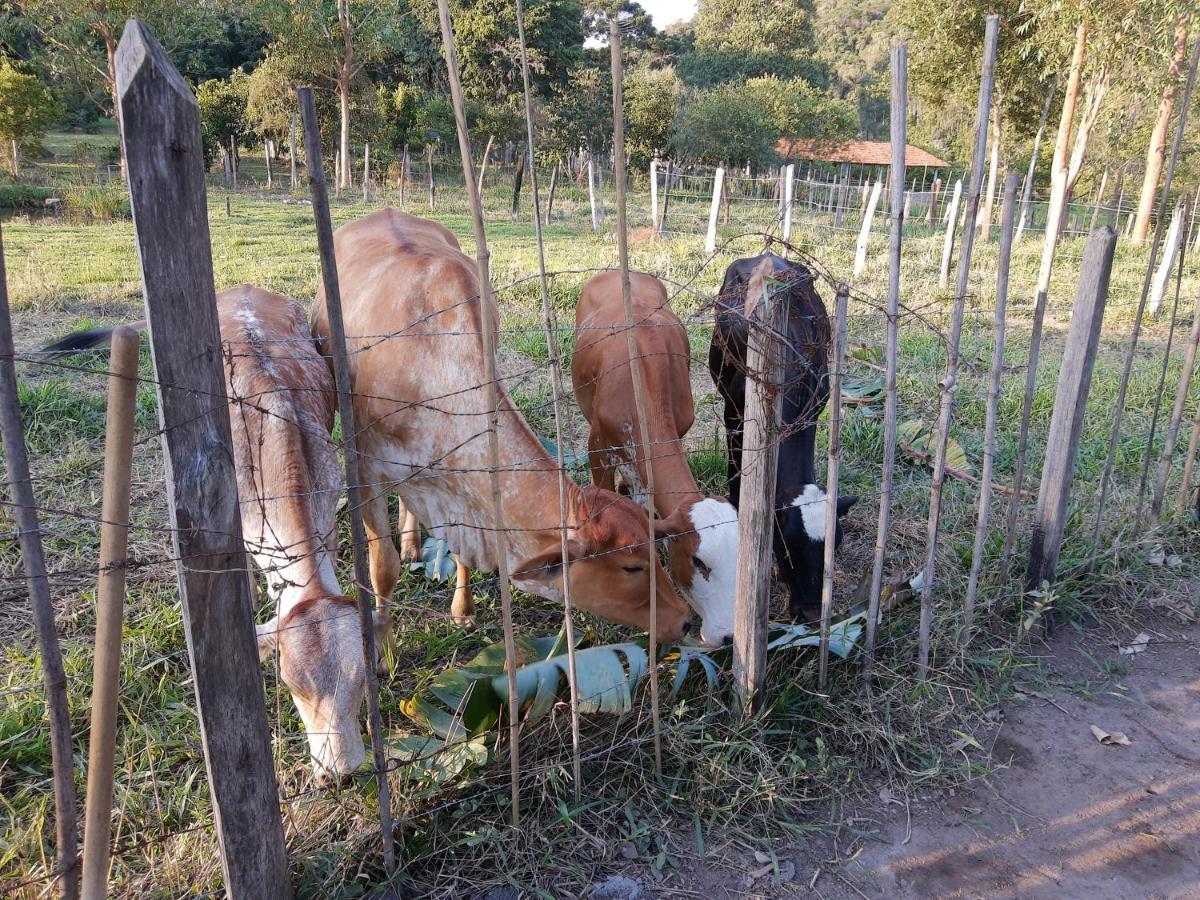Pousada Roseira Lagoinha Sp Εξωτερικό φωτογραφία